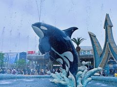 -上海海昌海洋公园