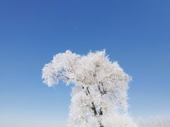 -雾凇岛