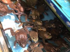 -乐在集市海鲜大排档(平潭店)