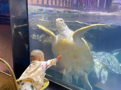 -海合安武汉极地海洋公园
