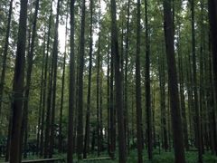 iphone_upload_pic-上海怡沁园度假酒店