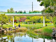 -昆山城市公园