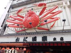-蟹道乐(道顿堀本店)