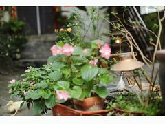 -行人小筑·茶馆(岑村火炉山分店)