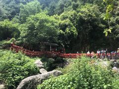 -苍山感通索道