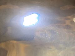 -汤印温泉假日酒店