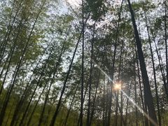 -千泷沟大瀑布旅游区