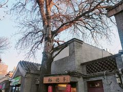 -裕德孚·非遗手切涮羊肉(东直门内大街店)