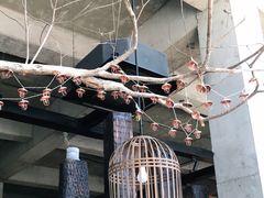 -几荷·恰似故人来(秀水广场店)