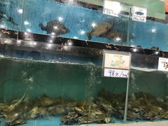 水产区-源海渔村·现捞海鲜(大角湾店)