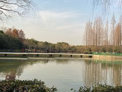 -黄兴公园