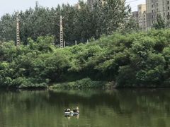 -前关湿地公园