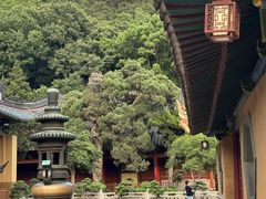 -普陀山风景名胜区-法雨禅寺