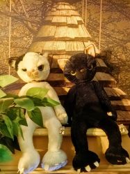 -疯狂冒险家-亲子密室-东坝店(金隅嘉品店)