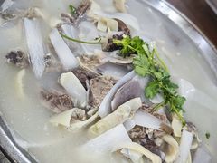 -黎老幺光雾山黄羊汤锅