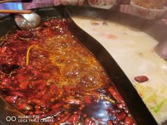 -朱光玉火锅馆(正弘城店)