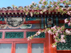 -海棠花溪(元大都城垣遗址公园)