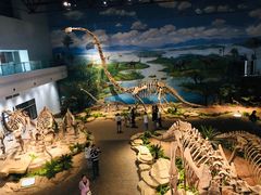 -自贡恐龙博物馆