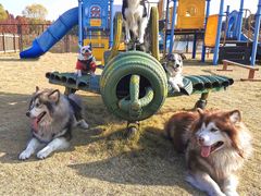 -太阳岛度假酒店