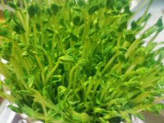 -熊猫火锅(荥阳店)