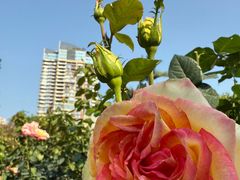 -人民公园(罗湖区)