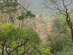 -黔灵山公园