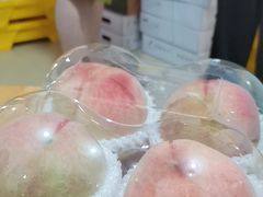 -老袁家蜜桃农场·阳山水蜜桃