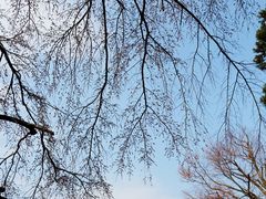 -醍醐寺