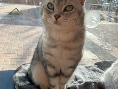 -平行世界·猫咖(首经贸店)