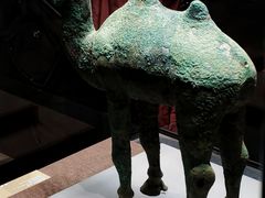 -甘肃省博物馆