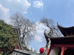-长春观