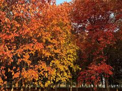 -长春世界雕塑园冰雪艺术天地