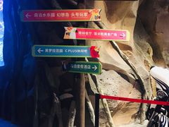 -杭州开元森泊度假乐园