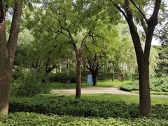 -元大都城垣遗址公园