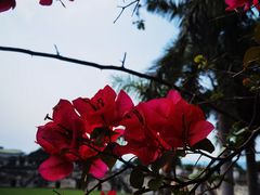 -石炮台公园