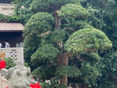 -莆田湄洲妈祖祖庙