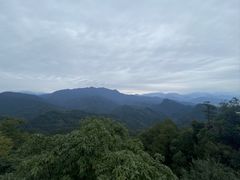 -青城山