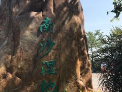 -大湾区中央湿地公园