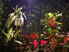 -小胖私厨状元宴·东北私房菜馆