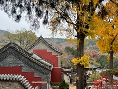 -泰山风景名胜区-普照寺