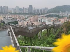 -福道