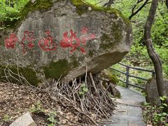 -三块石国家森林公园