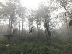 -梦幻奥陶纪景区