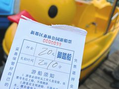 -桂湖森林公园