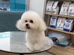 -德元·美联众合24小时动物医院(总院)
