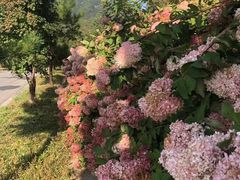 -丹东天桥沟景区