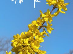 -陕西省西安植物园
