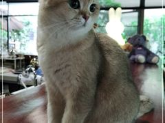 -咖法森林·咖啡  酒吧(天河店)