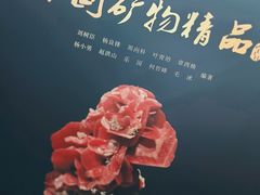 -中国地质博物馆