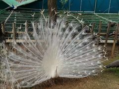 -昆明动物园